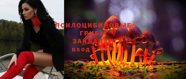 2c-b Аркадак