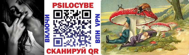 Псилоцибиновые грибы Psilocybe  Долинск 
